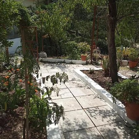 Akis Garden